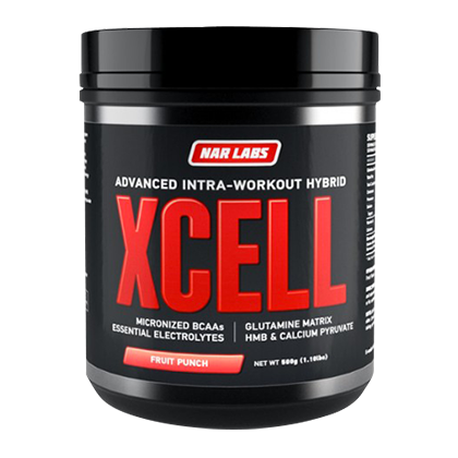 XCell 500